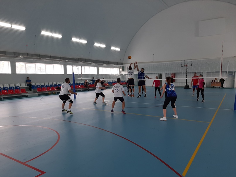 volejbol-0106-04.jpg